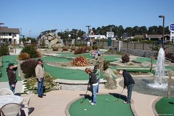 EMERALD DOLPHIN INN (Fort Bragg)